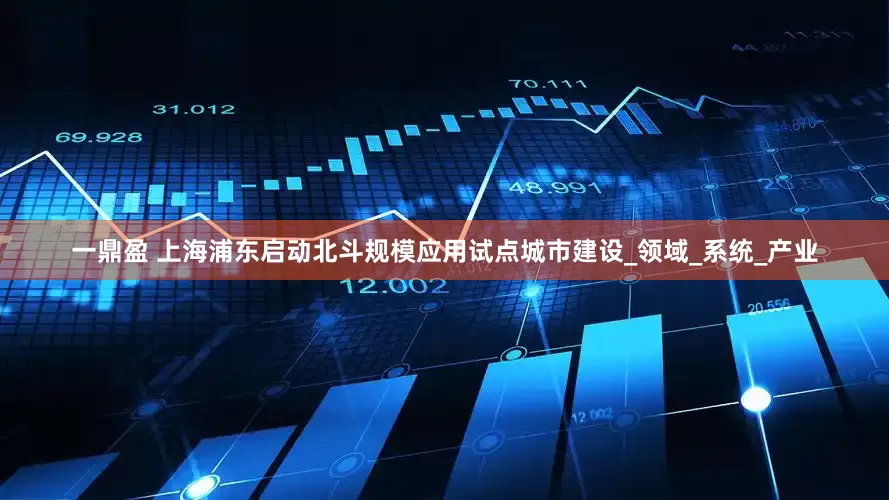 一鼎盈 上海浦东启动北斗规模应用试点城市建设_领域_系统_产业