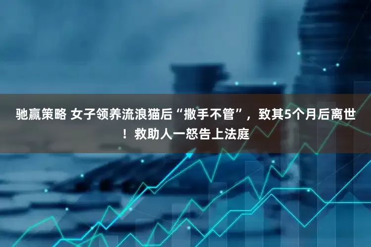 驰赢策略 女子领养流浪猫后“撒手不管”，致其5个月后离世！救助人一怒告上法庭