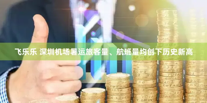 飞乐乐 深圳机场暑运旅客量、航班量均创下历史新高