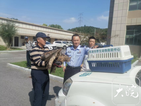亿米网 芜湖警民同心救助国家二级保护动物雕枭