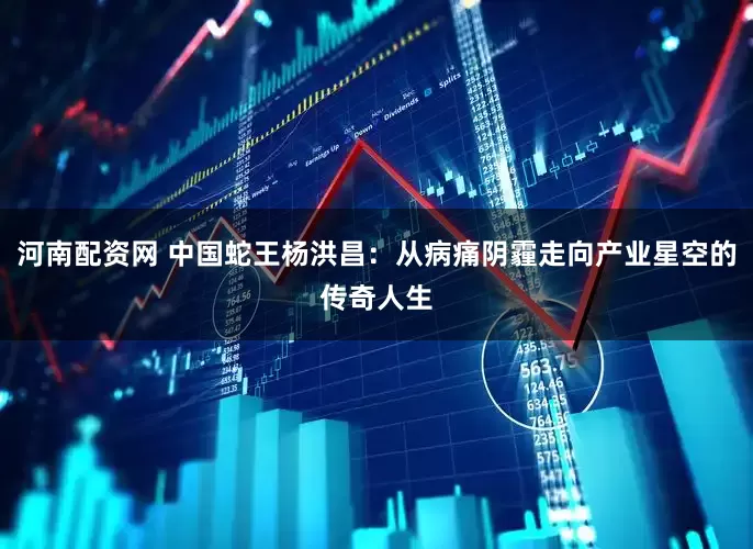 河南配资网 中国蛇王杨洪昌：从病痛阴霾走向产业星空的传奇人生